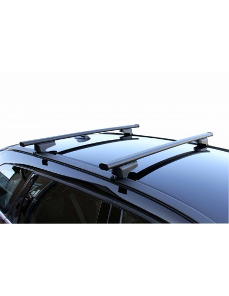 Clop G3 1100 mm + G368900 barres de toit en acier